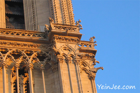 Gargoyles at Notre Dame, Paris