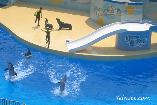 Hong Kong Ocean Park dolphin show