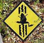 Road sign to save crossing frogs in Japan