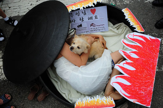Koreans protest eating dog meat in Seongnam