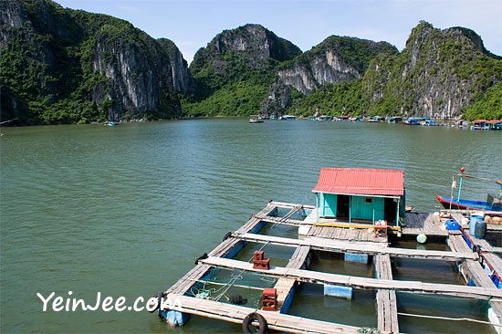 Floating fishing farm at Halong Bay, Vietnam
