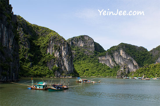 Floating fishing village at Halong Bay, Vietnam
