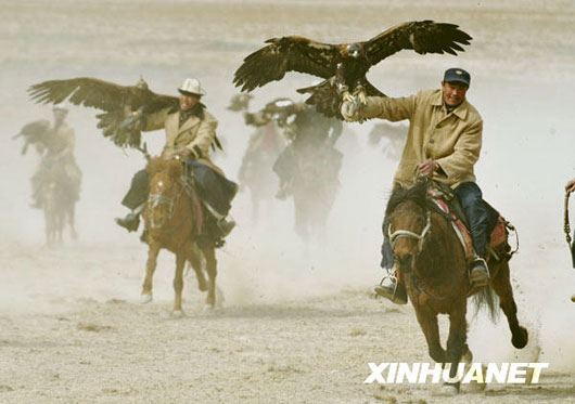 Falcon cultural festival in Xinjiang, China