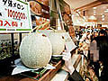 Expensive Japanese Yubari melons