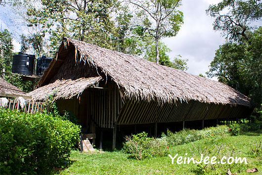 Rungus long house at Borneo Proboscis River Lodge in Klias Wetland, Sabah