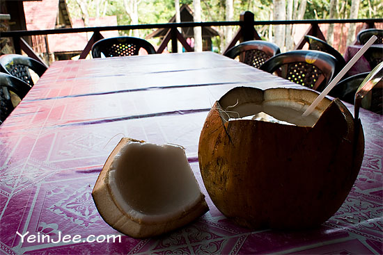 Fresh coconut drink at Telaga Tujuh, Langkawi, Malaysia