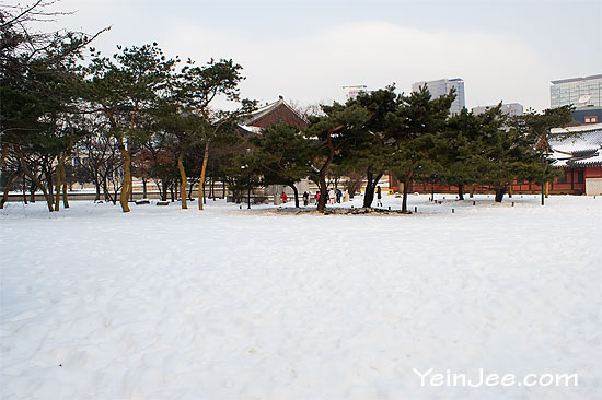 Deoksugung Palace in snow