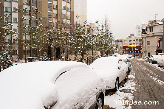 Cars covered in snow, Seoul