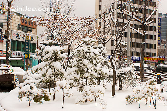 March snow in Seoul
