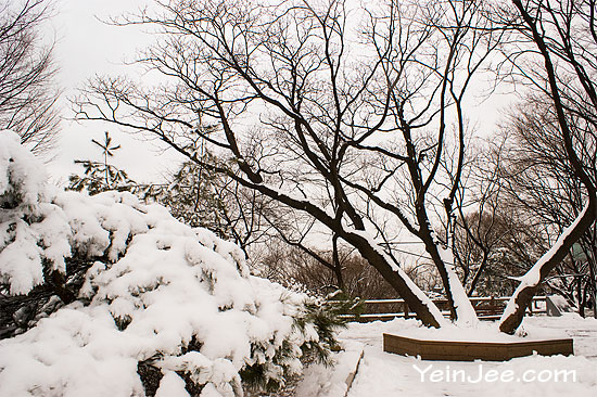 Namsan Park in snow, Seoul, South Korea