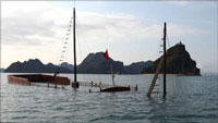 Halong Bay boat accident