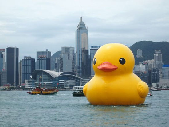 Giant rubber duck in Hong Kong