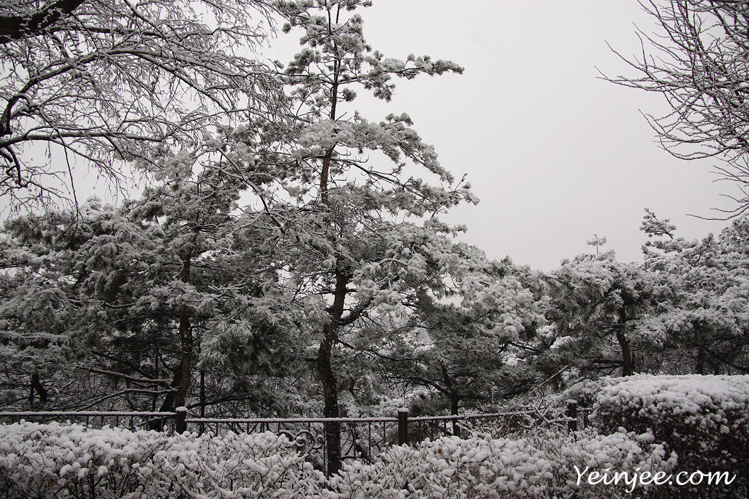 Snow sceneries Seoul Korea